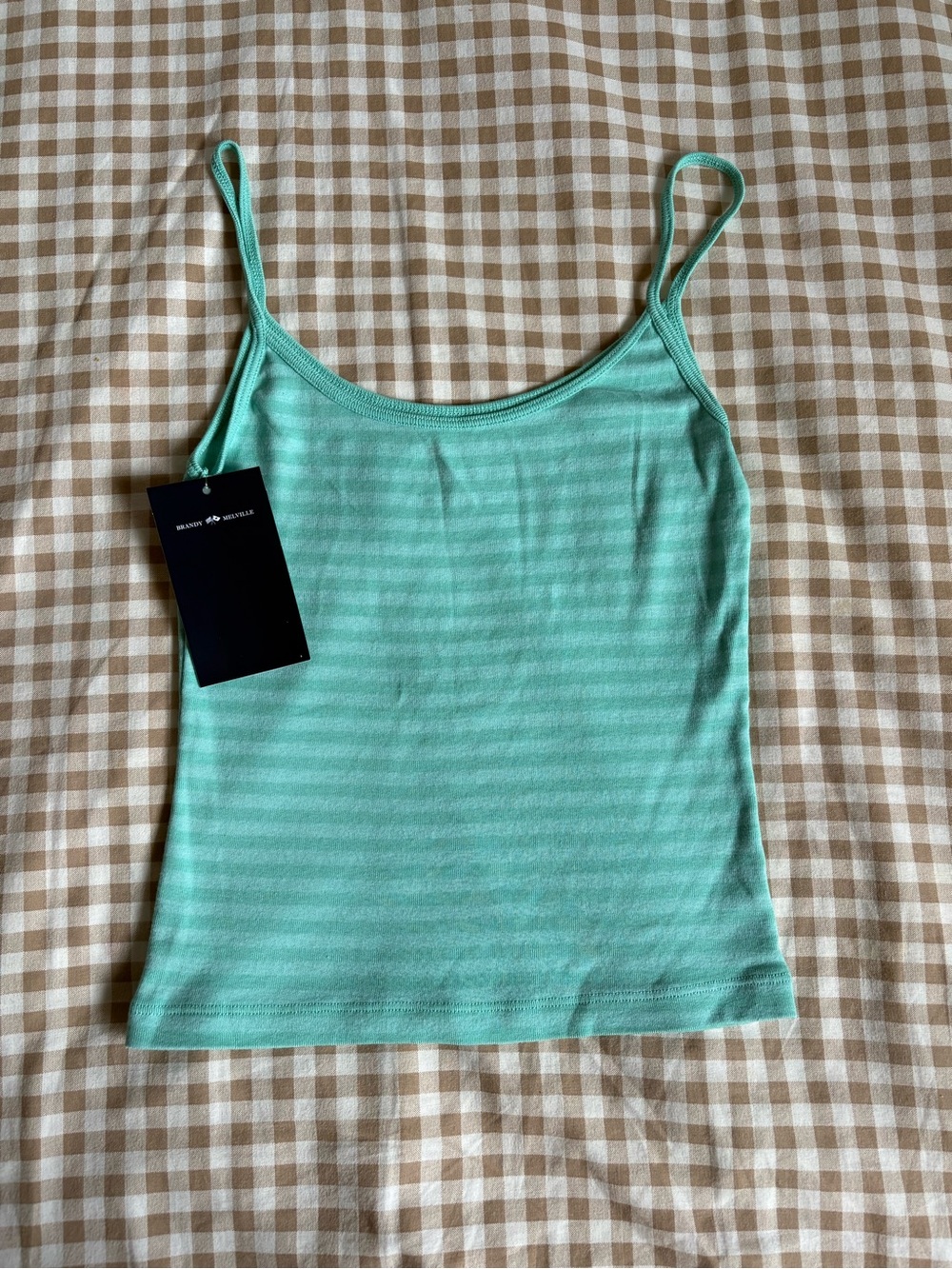Brandy Melville Teal Striped Tank Top